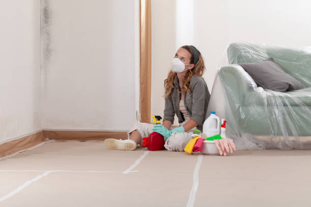 Reliable Mold Remediation contractor in Riverview, MI by WQB Mold Removal